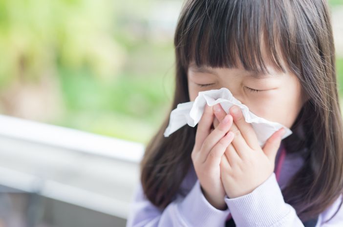 flu burung